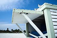 USA / Florida / Miami / 2009 / Gulls chills on a s