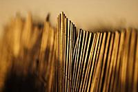 USA / Florida / Miami / 2009 / Fences of the beach