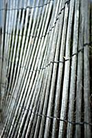 USA / Florida / Miami / 2009 / Fences of the beach