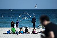 USA / Florida / Miami / 2009 / Crowds and birds on