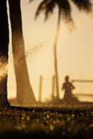 USA / Florida / Miami / 2009 / A morning runner an