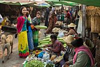 MYANMAR / Shan State / Inle Lake / Nyaungshwe / Se