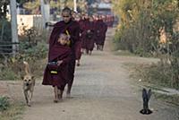 MYANMAR / Shan State / Inle Lake / Nyaungshwe / Bu