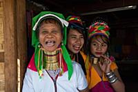 MYANMAR / Shan State / Inle Lake / Ywama / Some Pa