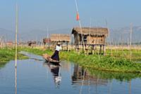 MYANMAR / Shan State / Inle Lake / Fisherman of th