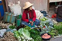 MYANMAR / Shan State / Inle Lake / Nyaungshwe / Se