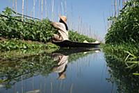 MYANMAR / Shan State / Inle Lake / Woman of the et