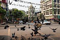 MYANMAR / Yangon / 2015 / Streetlife in the Little