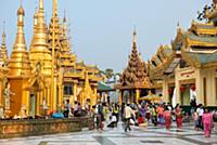 MYANMAR / Yangon / 2015 / A must for every visitor