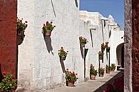 PERU / Arequipa / Santa Catalina Monastery

© Ol