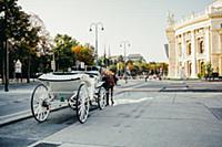 Austria / Vienna / 2014 / Horse carriage staying n