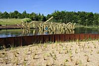 France / Ile-de-France / Yvelines / Versailles / 2