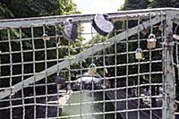 France / Paris / 2015 / Lovelocks / Passerelle Bic
