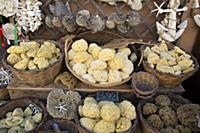 Italy / Puglia / Gallipoli / 2014 / Sea sponges an