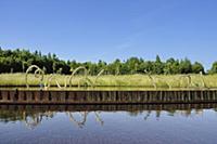 France / Ile-de-France / Yvelines / Versailles / 2