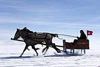 Гонки на лошадях на озере Чилдыр