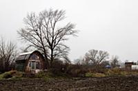 Austria / Vienna / Seestadt Aspern / 2014 / Urban 