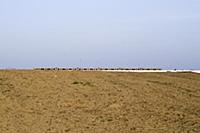 Austria / Vienna / Seestadt Aspern / 2014 / Urban 