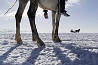 Turkey / Lake ‚хldхr / 2015 / Love of Horses on th