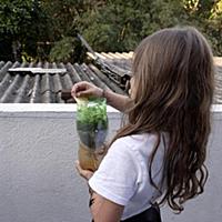 Brazil / Rio de Janeiro / Kitchen Garden / 2015 / 