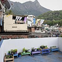 Brazil / Rio de Janeiro / Kitchen Garden / 2015 / 