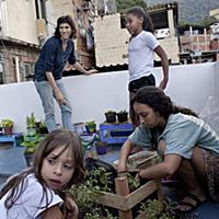 Brazil / Rio de Janeiro / Kitchen Garden / 2015 / 