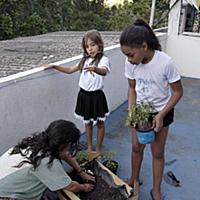 Brazil / Rio de Janeiro /  Kitchen Garden / 2015 /