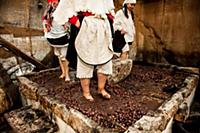 Italy / Apulia / Monopoli / 2015 / Live Cribs / Sc