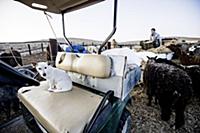 Israel / Negev Desert / Mizpe Ramon / 2014 / Alpac