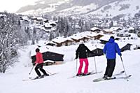 France / Haute-Savoie / Mont Blanc / February 2015
