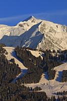 France / Haute-Savoie / Mont Blanc / February 2015