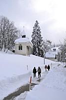 France / Haute-Savoie / Mont Blanc / February 2015