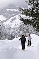 France / Haute-Savoie / Mont Blanc / February 2015