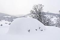 France / Haute-Savoie / Mont Blanc / February 2015