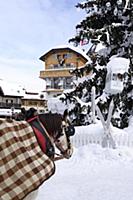 France / Haute-Savoie / Mont Blanc / February 2015