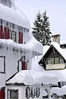 France / Haute-Savoie / Mont Blanc / February 2015