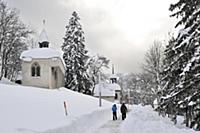 France / Haute-Savoie / Mont Blanc / February 2015