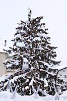 France / Haute-Savoie / Mont Blanc / February 2015