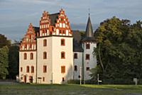 GERMANY / Saxony / Vogtland / Netzschkau / The Net