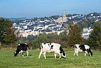 GERMANY / Saxony / Ore Mountains / Annaberg-Buchho
