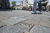 GERMANY / Lower Saxony / Hamelin / One of 250 bron