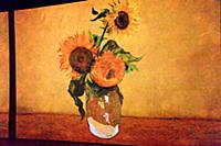 Выставка «Ожившие полотна» Ван Гога (Van Gogh) в ц