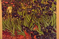 Выставка «Ожившие полотна» Ван Гога (Van Gogh) в ц