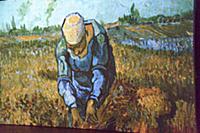 Выставка «Ожившие полотна» Ван Гога (Van Gogh) в ц