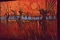 Выставка «Ожившие полотна» Ван Гога (Van Gogh) в ц