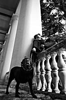 Серия «Москва для поцелуев» Георгия Розова