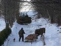 Рождество в Карпатах. Автор: Сергей Николаев