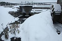 Село Михайловское. Псковская область, Россия. 03 я