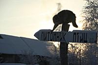 Село Михайловское. Питомник для птиц. Псковская об