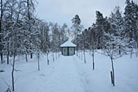 Село Михайловское. Псковская область, Россия. 03 я